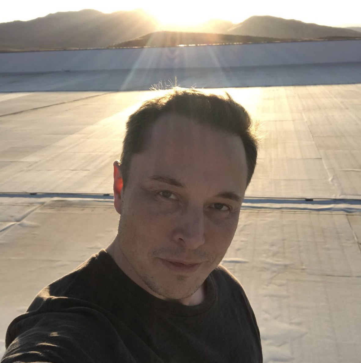 Elon Musk: Sex Symbol - THE RIB OF BROWN