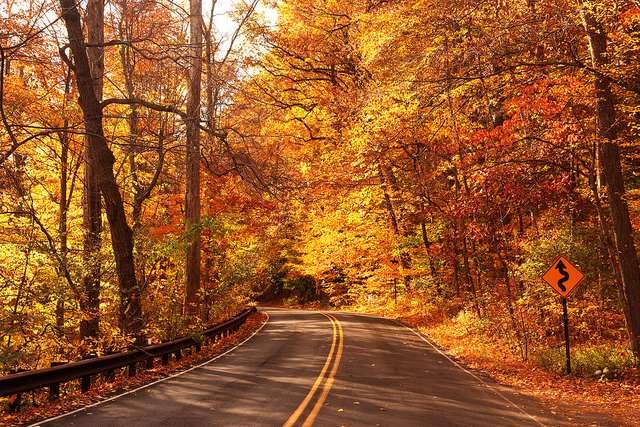 A Leaf Peeper’s Guide to Peeping