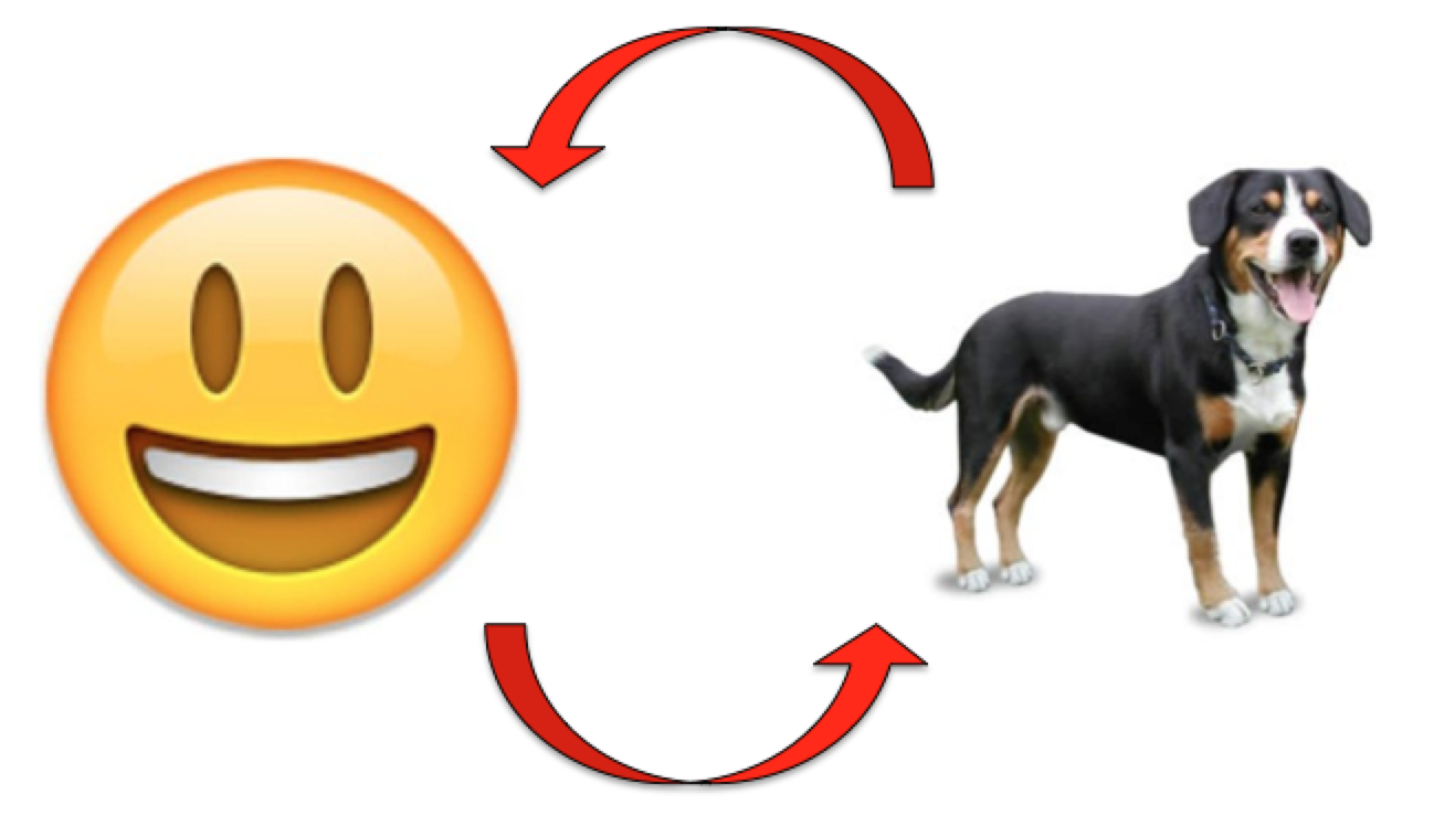 The Dog Cycle