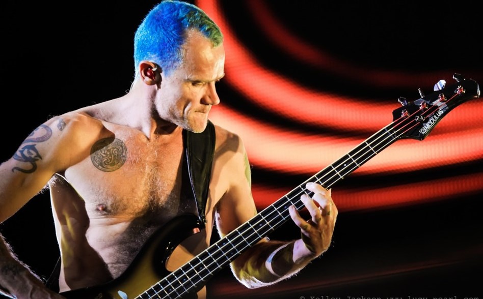 Long Live Flea