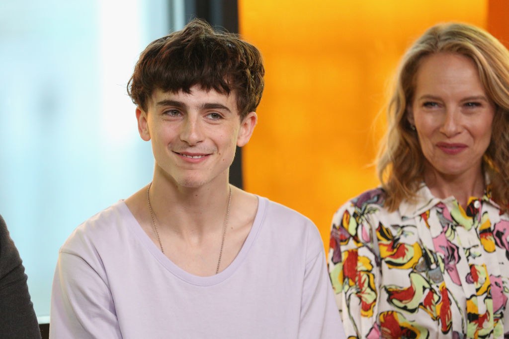 Timothée Chalamet’s Career-Ending Haircut