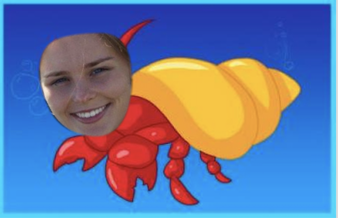 JOMO Has Given Me the Freedom I Needed to Become a Hermit Crab