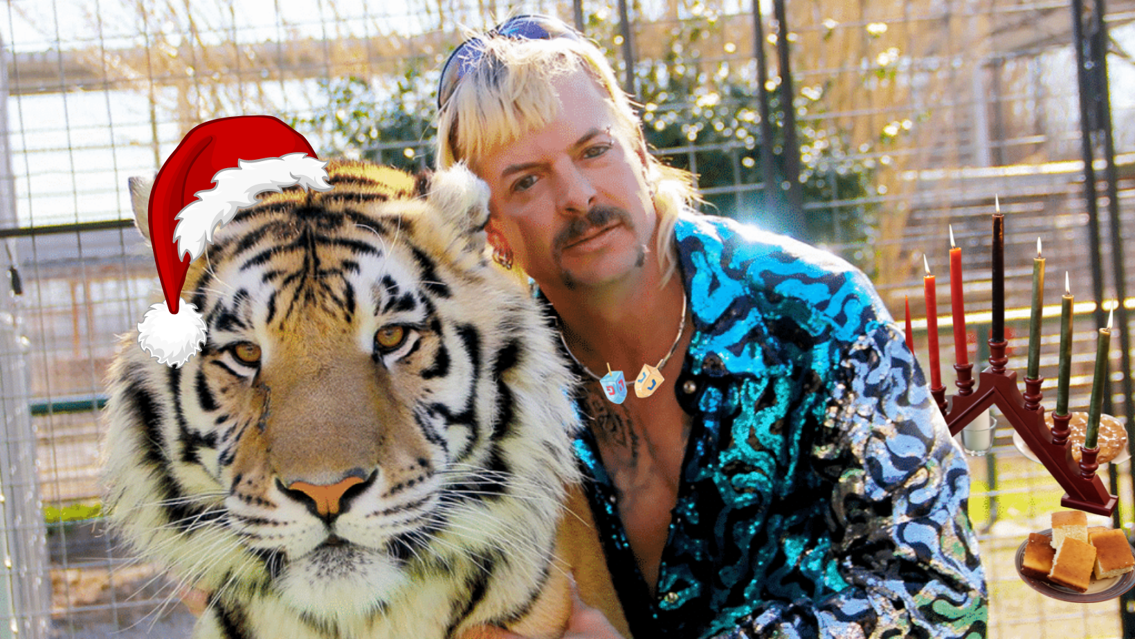 How to Navigate the Holiday Season With New “Tiger King” Episodes